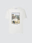 White Cotton Jersey T-shirt